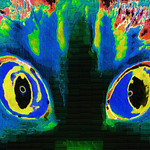Fun Funky Cats Eyes - because I love cats eyes :)